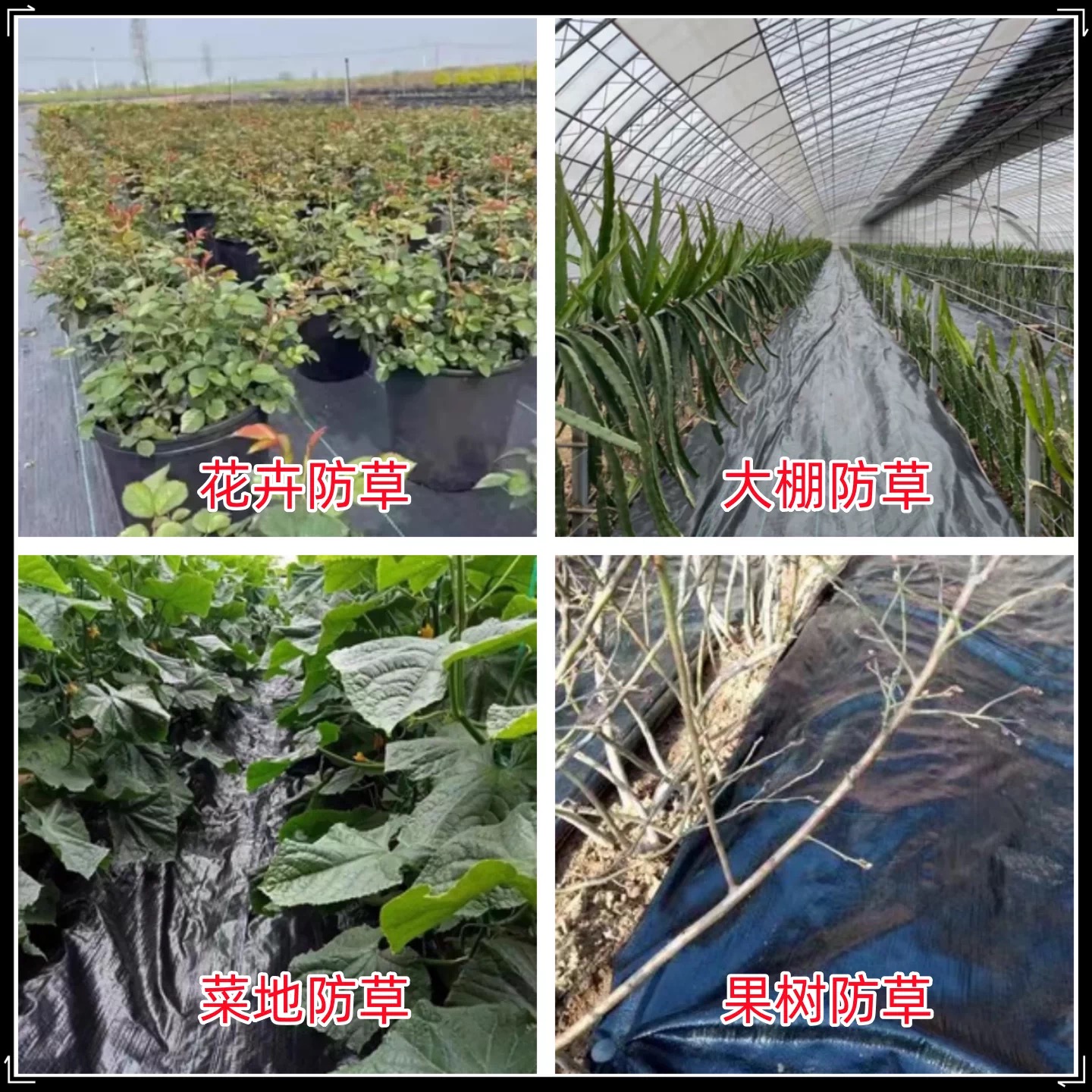 台州市黑白养殖膜防草布 - 方案
